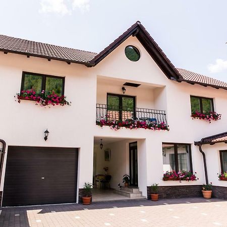 Vila Rodica Transalpina Sugag Exterior photo